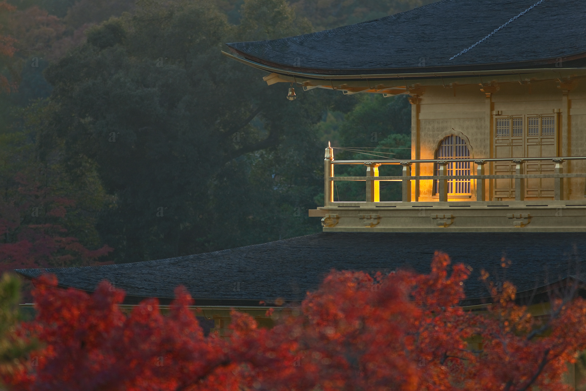 ベン・シモンズ &ldquo;金閣寺　京都&rdquo; Ben Simmons &ldquo;Kinkaku-ji, Kyoto&rdquo;